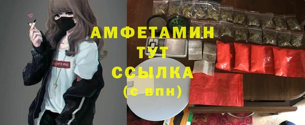 PSILOCYBIN Слюдянка