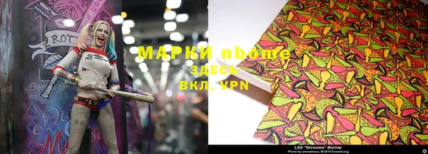 гашик Снежногорск