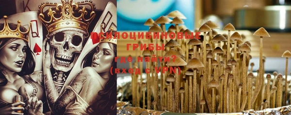 гашик Снежногорск