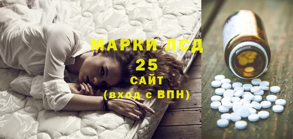 PSILOCYBIN Слюдянка