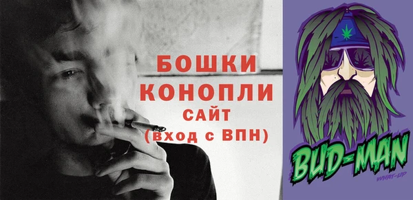 гашик Снежногорск