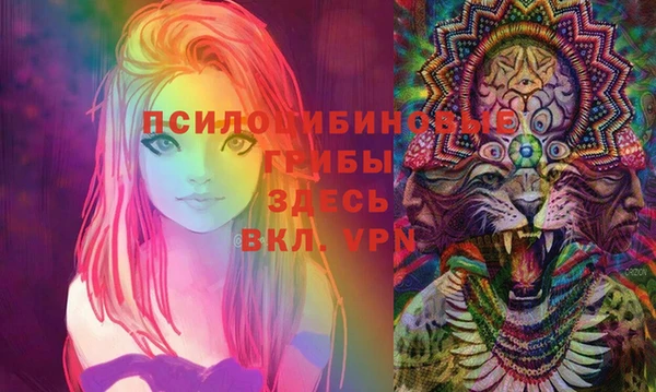 PSILOCYBIN Слюдянка