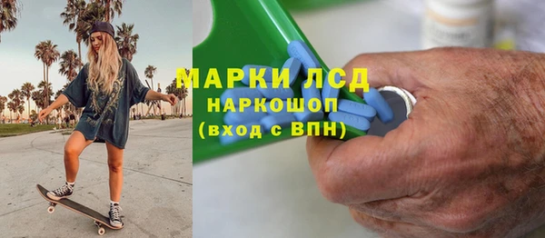 гашик Снежногорск