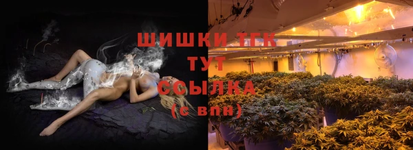 гашик Снежногорск