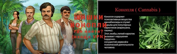 гашик Снежногорск
